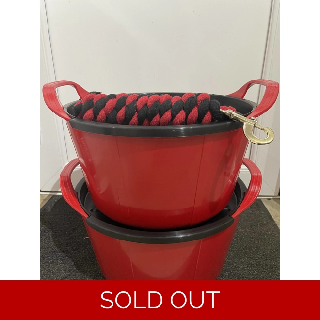 product Image for 2 bucket special